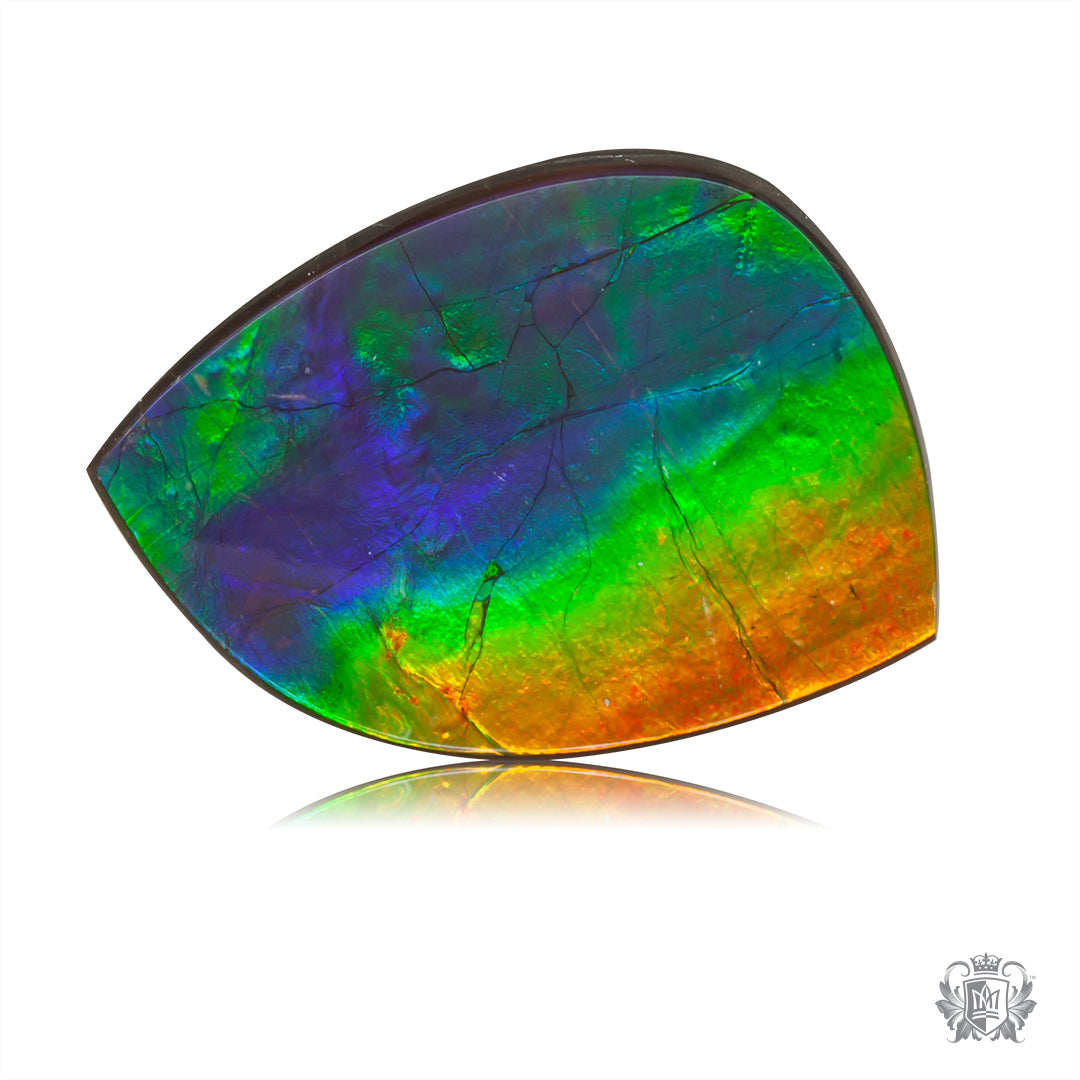 Ammolite Gem #024