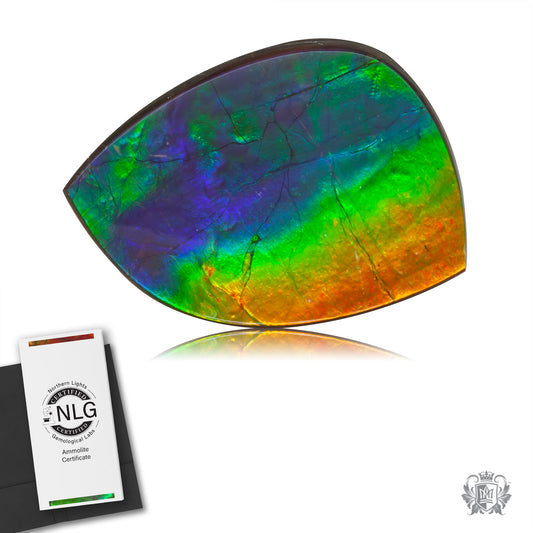 Ammolite Gem #024