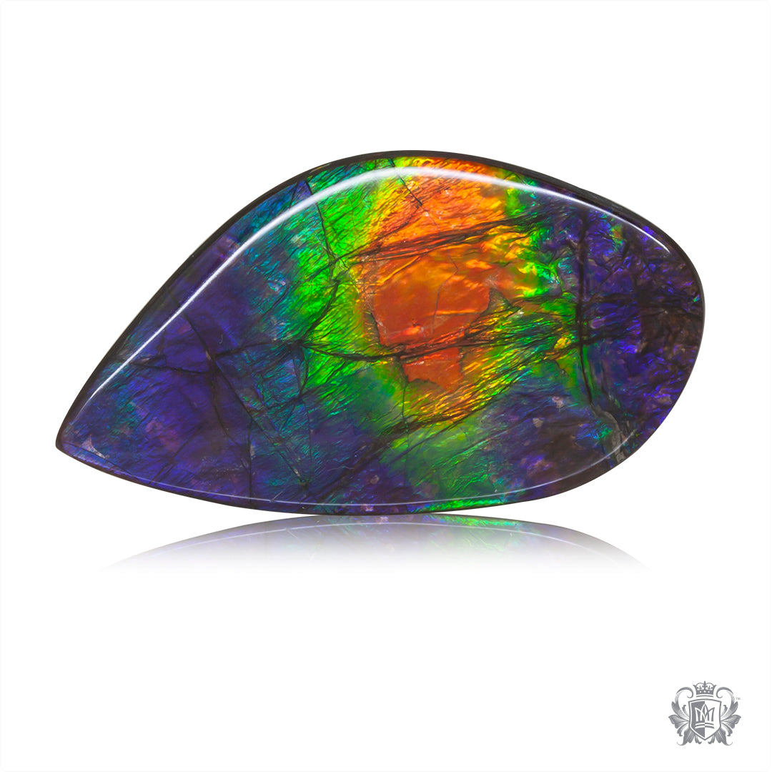 Ammolite Gem #025