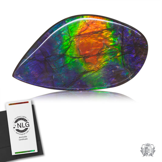 Ammolite Gem #025