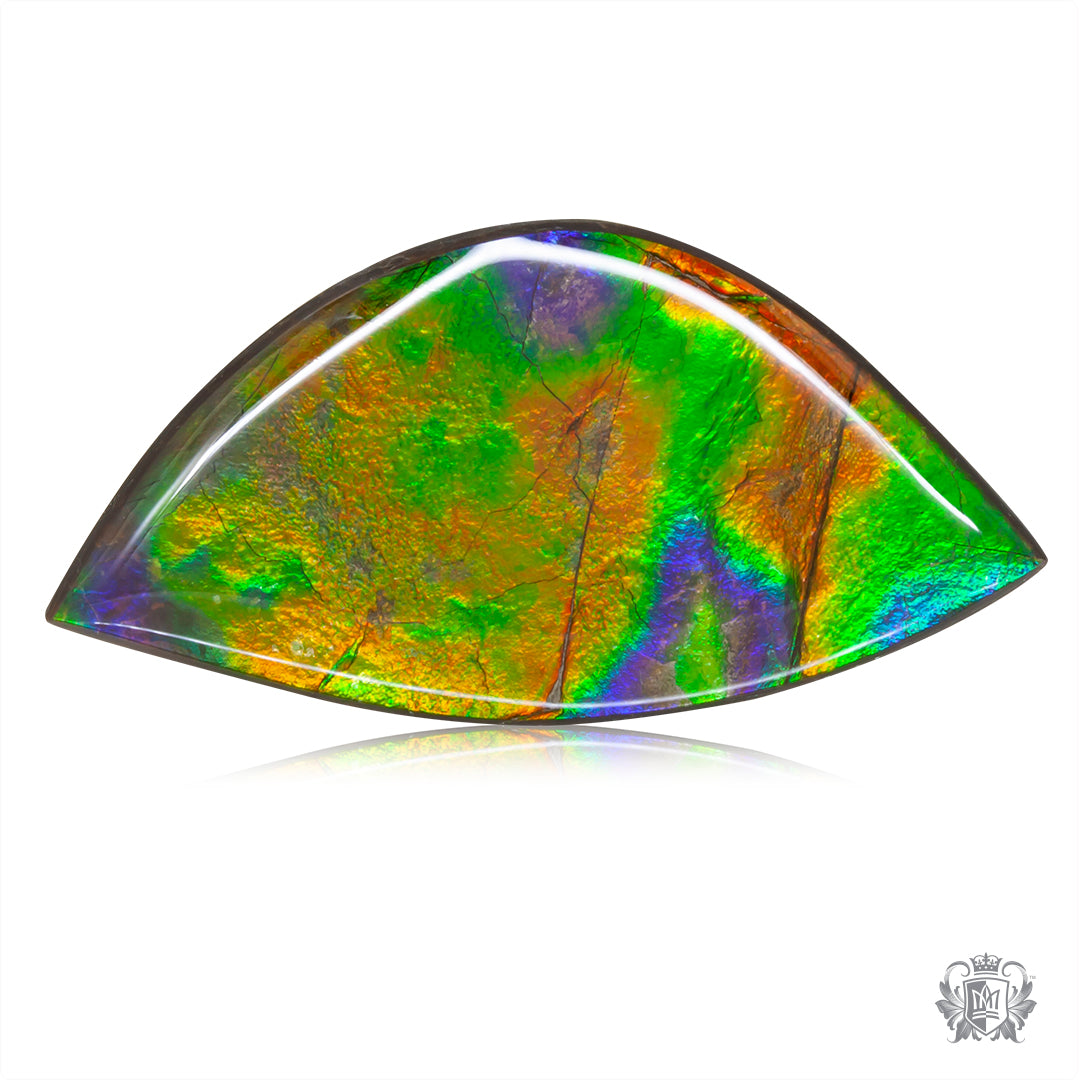 Ammolite Gem #026