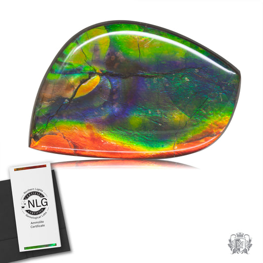 Ammolite Gem #027