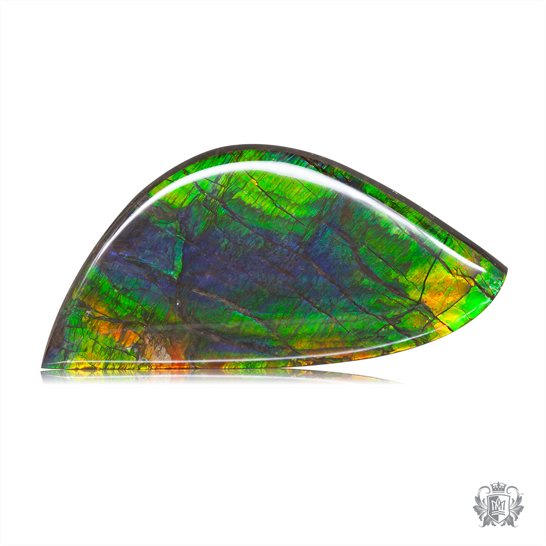 Ammolite Gem #028