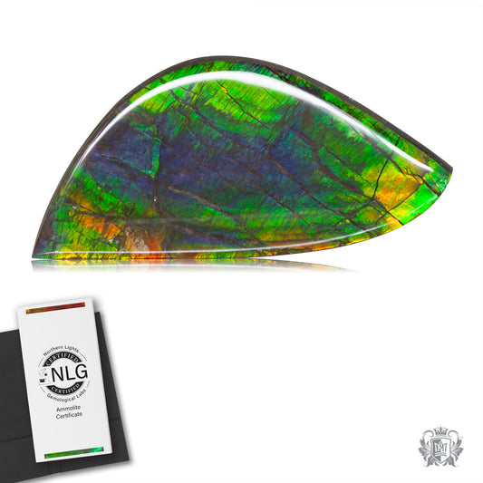 Ammolite Gem #028