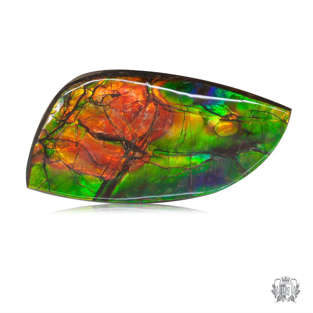 Ammolite Gem #029