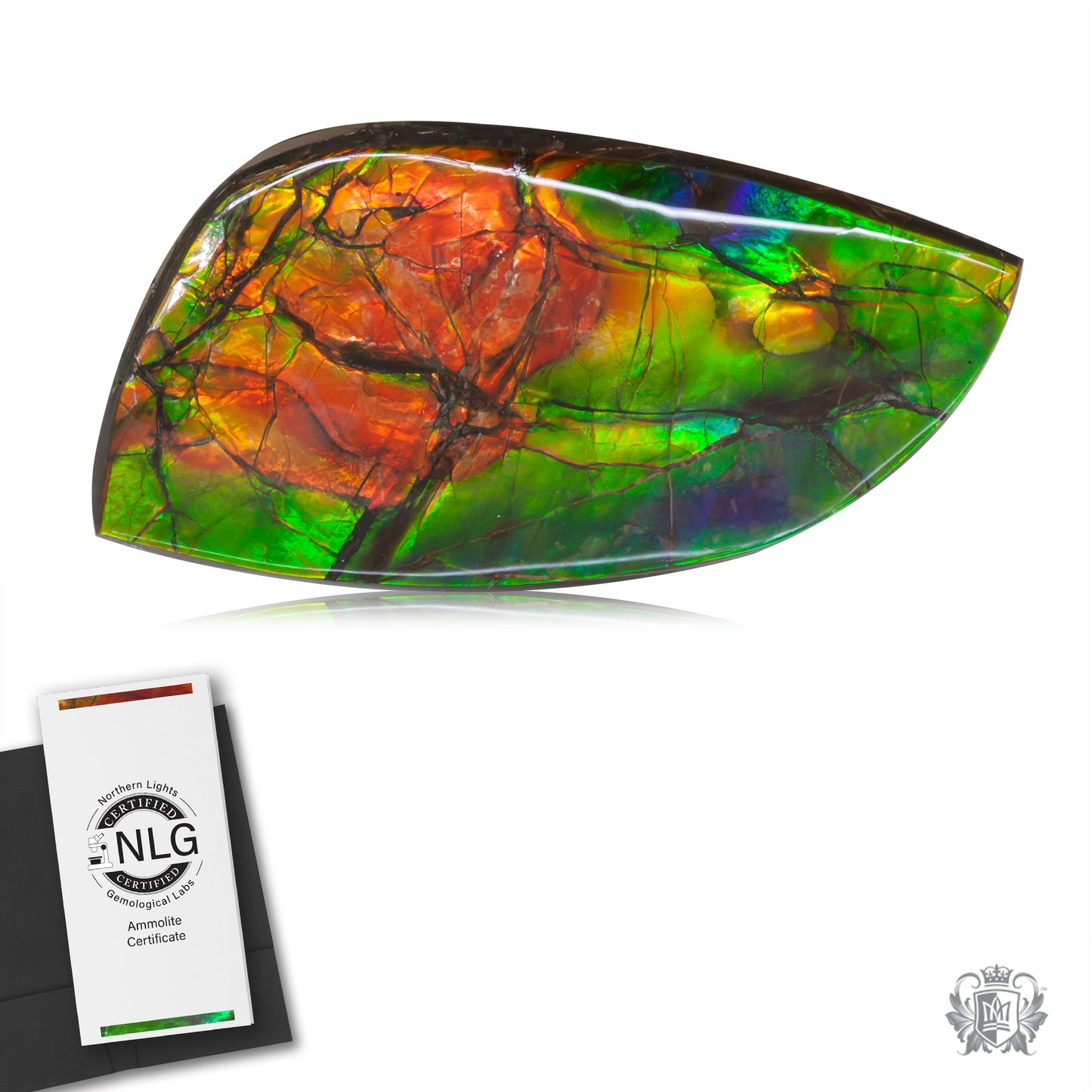 Ammolite Gem #029