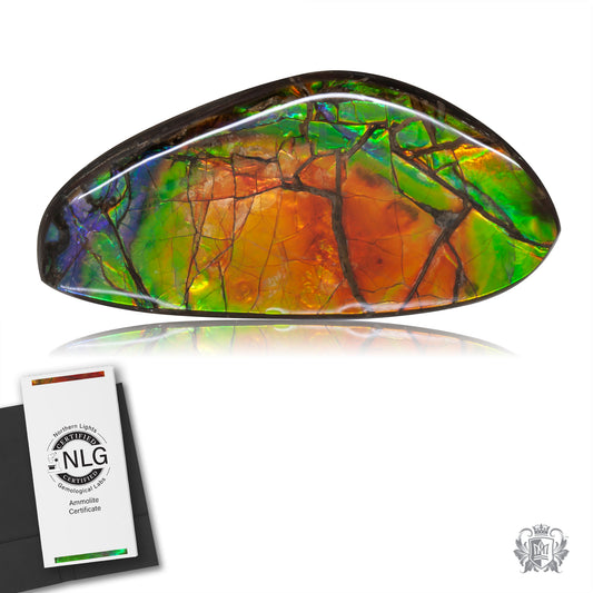 Ammolite Gem #030