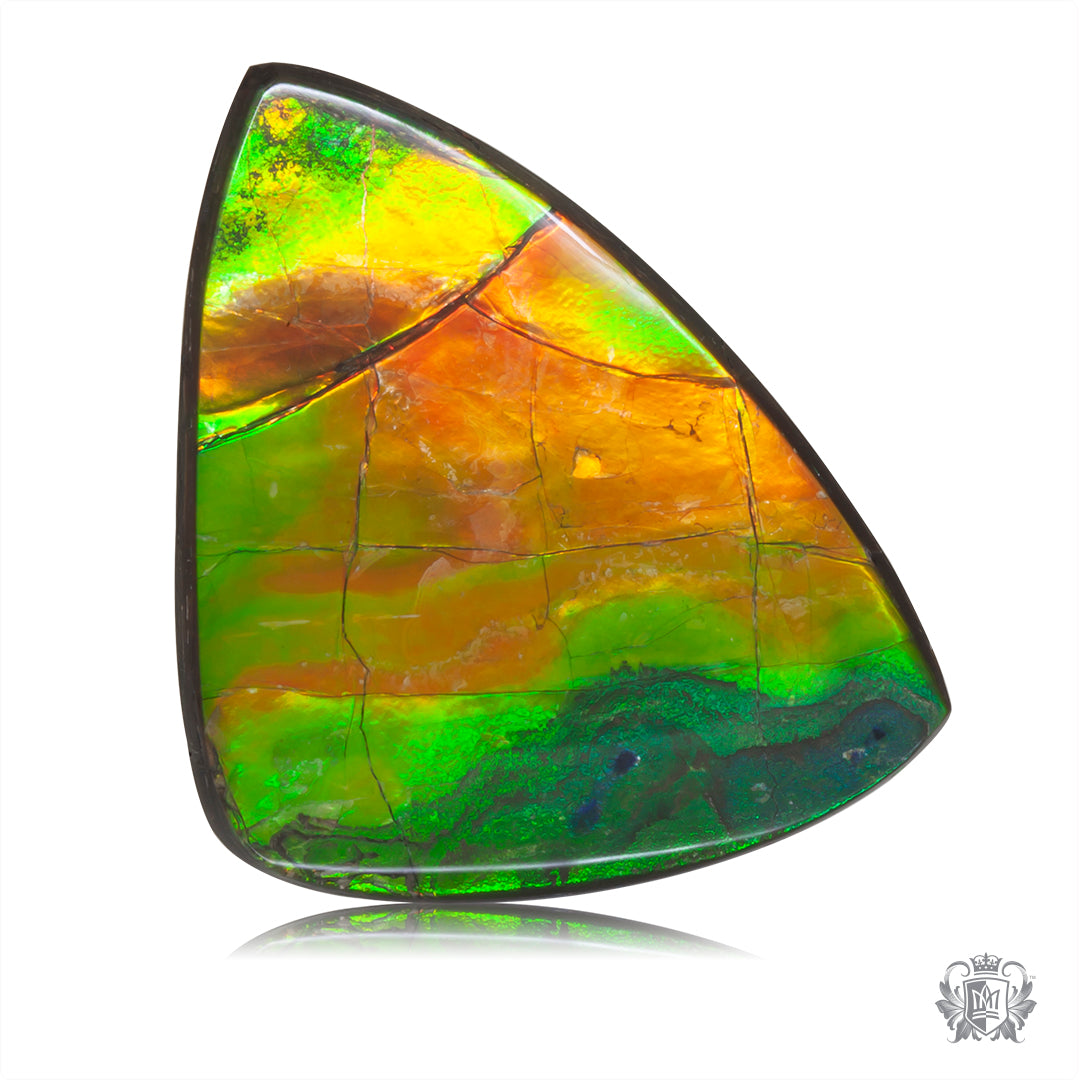 Ammolite Gem #031