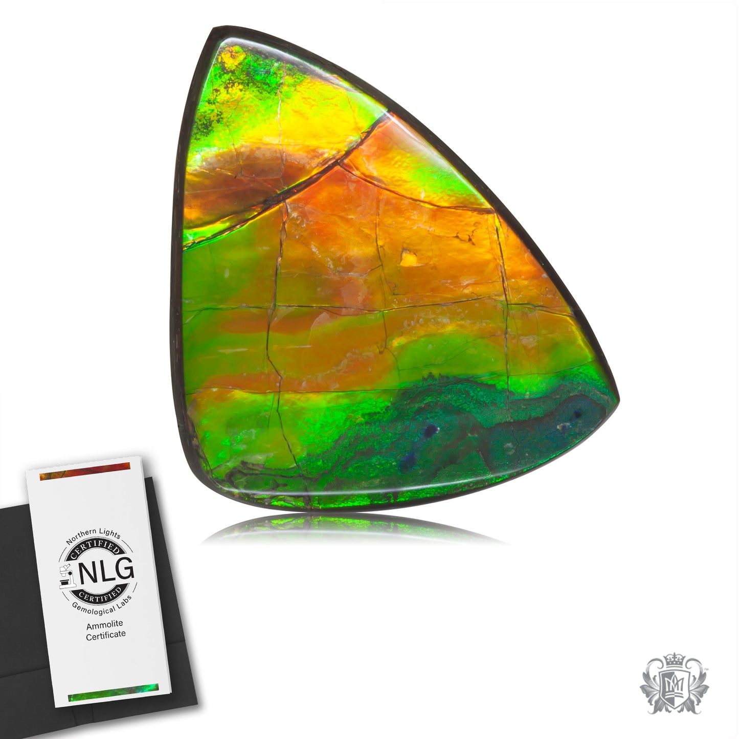 Ammolite Gem #031